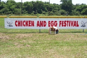 egg sign_0.jpg